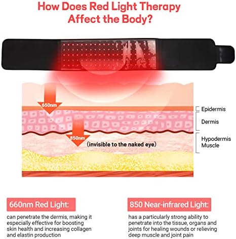 Cinturão de terapia com luz vermelha de holsn para o corpo perto da terapia de luz infravermelha do dispositivo de terapia vermelha