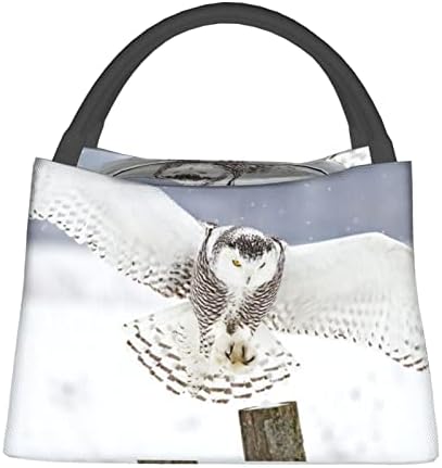 Lunch Sags Flying Owl Print para homens homens reutilizáveis ​​lancheira isolada com uma bolsa para almoço adulto