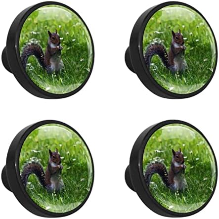 Guerotkr 4 PCs, alças de gabinete, botões de armário, botões de cômoda, alças para armários e gavetas, padrão de paisagem verde animal