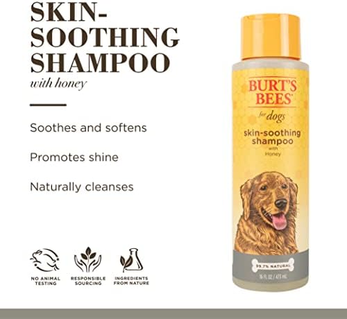 Abelhas de Burt para cães shampoo calmante da pele natural com mel | Shampoo de cachorro para todos os cães e filhotes | Seguro para cães com pele seca e sensível | pH equilibrado para cães - fabricado nos EUA, 16 onças - 6 pacote