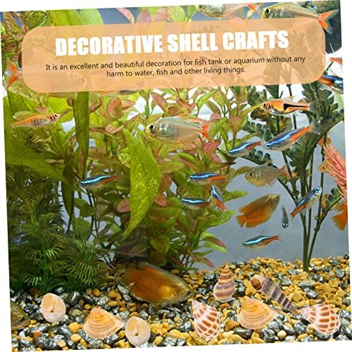 IPETBOOM 8 Caixas Kit Tanque Diy Conto de peixes Acessório de vaso de peixes Cenário ecológico Prop Garrafa de decoração natural