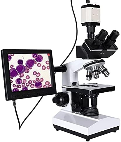 Microscópio Trinocular Biológico Profissional de Ylyajy Zoom 2500x + Câmera CCD digital eletrônica USB + LCD de 8 polegadas
