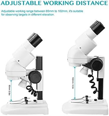 LXXSH 2 0X / 40X Microscópio estéreo 45 ° Econfieces ocultas com uma ferramenta de reparo móvel de visão led de visão led de olho led Saler