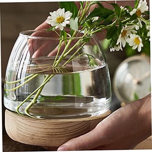 Patkaw 4 sets transparentes de vidro de vidro de vidro aquário de vidro de vaso transparente decoração de tanque de aquário transparente