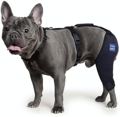 Lufelux Dog Knee Brace com cinto e cinto de conexão, leve e elástico, suporte para a perna traseira rasgada, patela de luxação,
