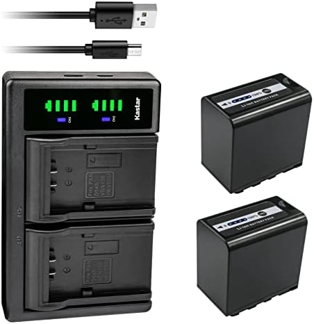 KASTAR 4-PACK AG-VBR89G BATERIA E LTD2 CARREGADOR USB COMPATÍVEL COM PANASONIC HC-X2 4K CORMcorder, Panasonic HC-X20