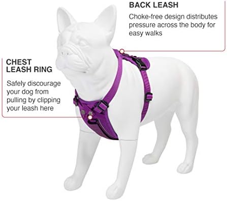 Voyager Freestyle 4 -in -1 Chicote de cães - arnês de correia ajustável com estofamento removível para cães pequenos a grandes - por melhor suprimentos para animais de estimação
