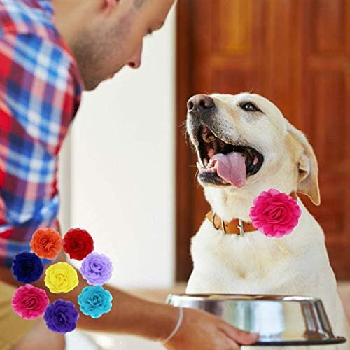 Loae Dog Flowers Collar Charms Pet Collars Acessórios para colarinhos de cachorro de gato decoração