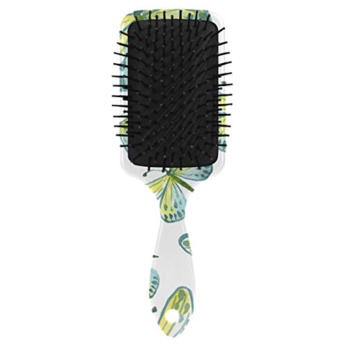 Vipsk Air Cushion Hancht, plástico colorido de borboleta verde pintada, boa massagem adequada e escova de cabelo anti