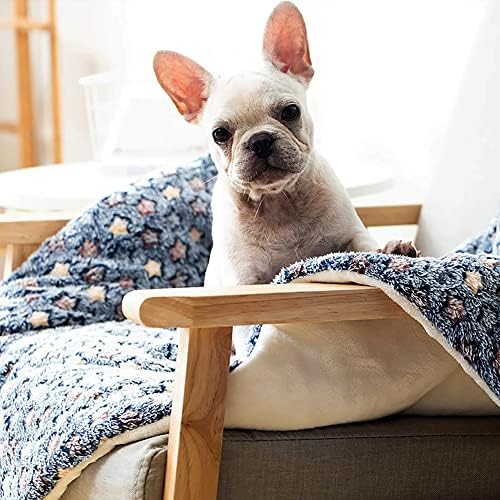 FJWYSANGE PET Blanket Premium Fluffy Flanel Cushion