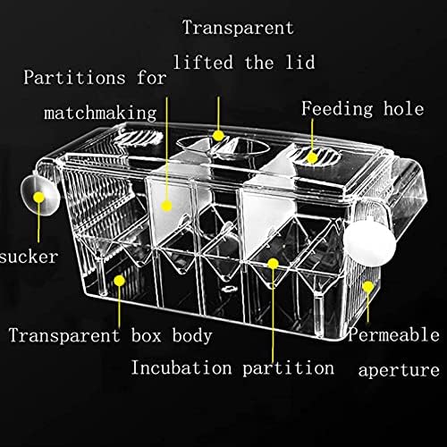 Caixa de criação de peixes Tfwadmx, caixa de criação de aquário Incubadora de incubatório para bebês Isolamento com planta artificial