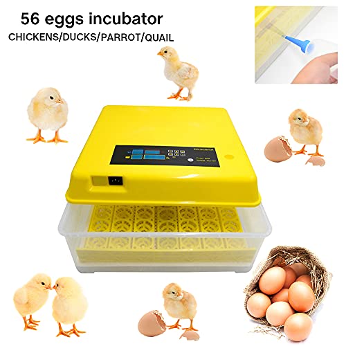 Incubadora de ovo, Incubadora de ovo totalmente automática digital 80W, 48/56/96/112 Ovos Hatcher de aves para patos