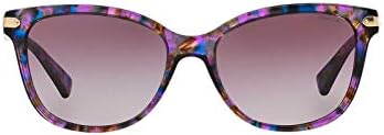 Óculos de sol do treinador HC 8132 52888H Tartaruga de confete roxo