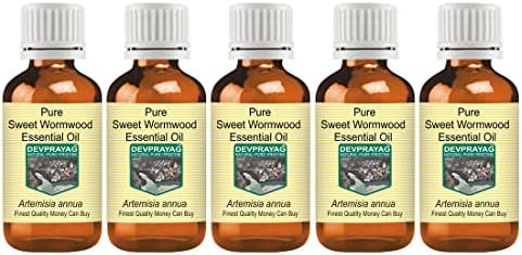 DevPrayag Pure Sweet Wormwood Essential Oil Steam destilado 100ml