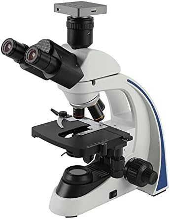 FZZDP 40X - 1000X 1600X 2000X Microscópio biológico do laboratório Microscópio trinocular