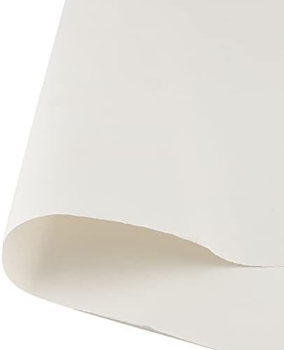 Papel de embalagem de papel de papel de 500 folhas, papel de papel de papel de 17 x 27 polegadas, folhas de papel de embalagem branca para mover, embrulhar, frete