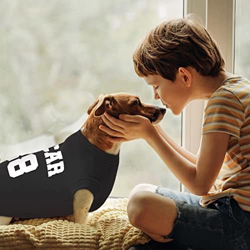 Camisa de cachorro personalizada de atdesk, camiseta de cachorro de puplo de jersey de futebol de cã