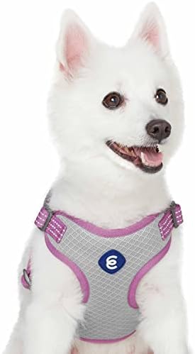 Pet Blueberry Pet Essentials de volta ao Basics Reflective Dog Arness Cole