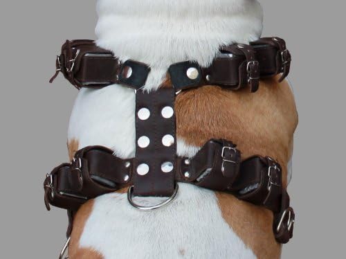 8 libras marrom arnês de cães com pesagem de couro genuíno para exercícios e treinamento. Se encaixa no baú de 33 -39,