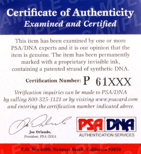Paul Varelans assinou a luva ufc PSA/DNA CoA Autograph 6 7 8 UUU95 UU96 UU - Luvas UFC autografadas