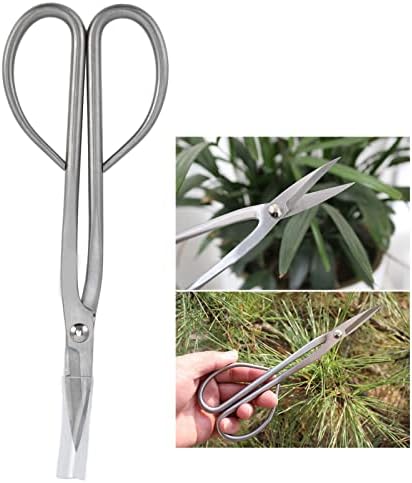 Voldax Bonsai Scissor Scissor de aço inoxidável Profissional Scissor de poda para folhas de folhas de jardim Scissors de bonsai de 8,3 polegadas