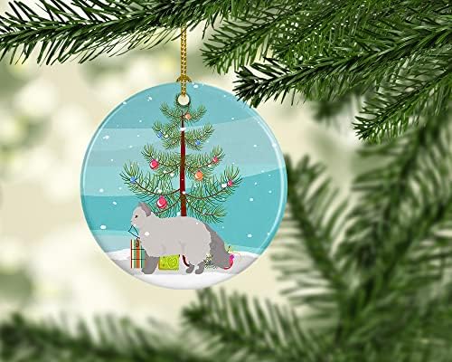 Tesouros de Caroline CK4708CO1 SELKIRK REX #2 CAT Feliz Natal Ornamento de cerâmica, decorações de árvores de Natal, ornamento pendurado para Natal, férias, festa, presente, presente