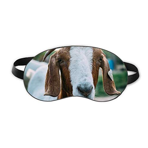 Organismo Terrestre Ovelha Fotografia de Animal Sleep Eye Shield Soft Night Blindfold Shade Cover