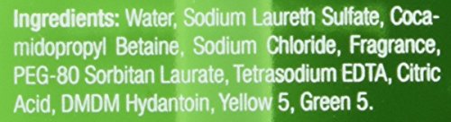 Neutrogena Rainbath Renovando Chuveiro e Gel de Tanho, Pear e chá verde, pacote de 16 fl oz de 2