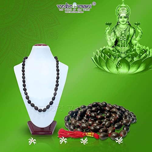 Vaani Vaani Shri Maha Lakshmi Yantra | Lotus Seed Mala | Puaj aasan | Orange Jade Shree Yantra Sampoorna Mahalaxmi Puja