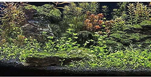 AVENTE 24X12 POLEGADAS AQUARIUIO FUNCIMENTO AQUÁTICO PLANT ROCK RIO RIO E LAGO FORNO DE PEIXOS VINIL