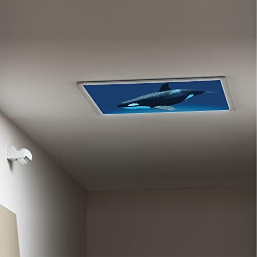 Tampas de luz fluorescentes para o teto dos painéis de difusor de luz-orca-fluorescente tampas leves para sala de aula-2 pés x 4 pés