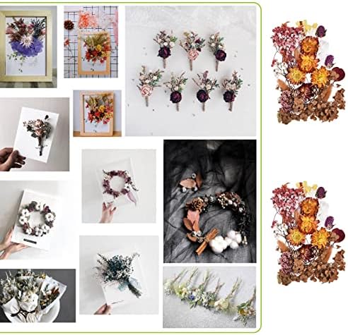 Flores secas de resina Shujing, flores secas reais para fabricação de sabão | Kit natural de flores secas DIY 10 cores para fotos