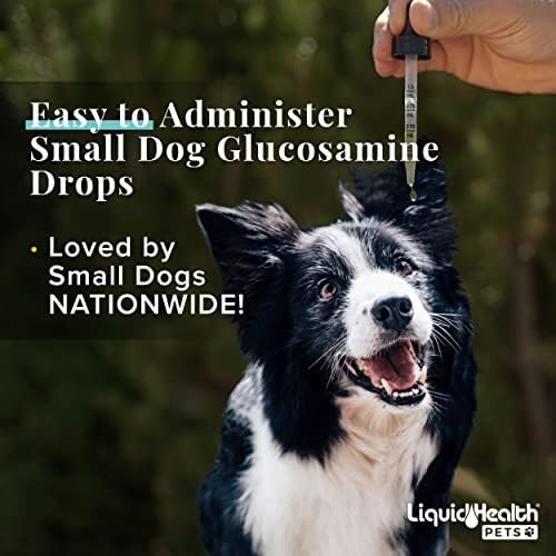 LiquidHealth 32 oz Glucosamina líquida Nível 5000 Grootper de cachorro pequeno, caninos grandes e raça condroitina, MSM,