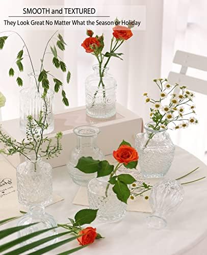 Conjunto de vasos de broto de vidro de 10 vasos de brota a granel, pequenos vasos de vidro para flores, vasos de brotos