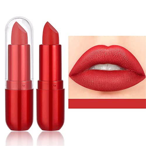 16 desejos comprovam batom com maquiagem labial Veludo duradouro High Pigmment Nude Impermeável Lip Gloss Girls Makeup