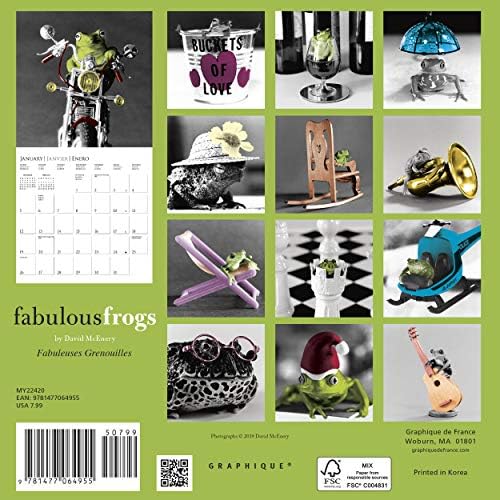 Graphique Fabulous Frogs Wall Calendário, calendário de parede de 16 meses 2021 com fotografias icônicas de David McEnery, 3 idiomas