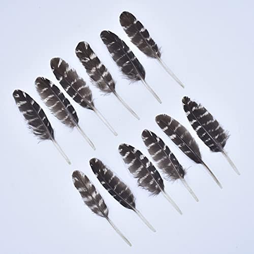 TTNDSTORE 20PCS FEETHERS NATURAIS PARA DEAGAÇÃO FEANTE PEDURA PENAS DE TULA PELAS DE DECORES DE DECIONAS ACESSÓRIOS DE CARNAVAL DE JOIXAS PLUMA-12631