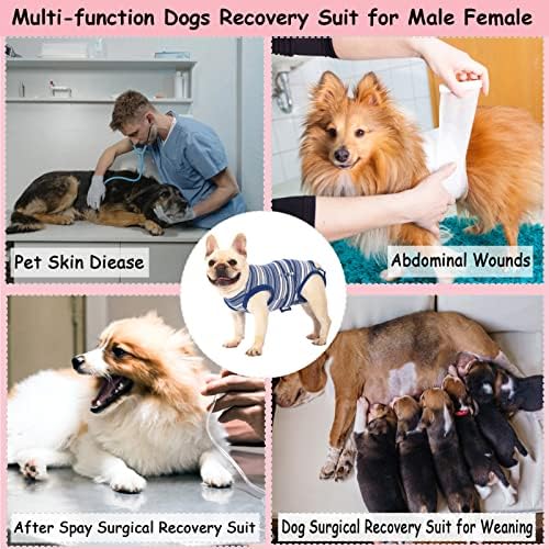 Caslfuca Dog Surgery Recovery Suit Feminino Macho Dog Onesie, Dogs Cat After esteriloso Spay Pós -cirurgia Men