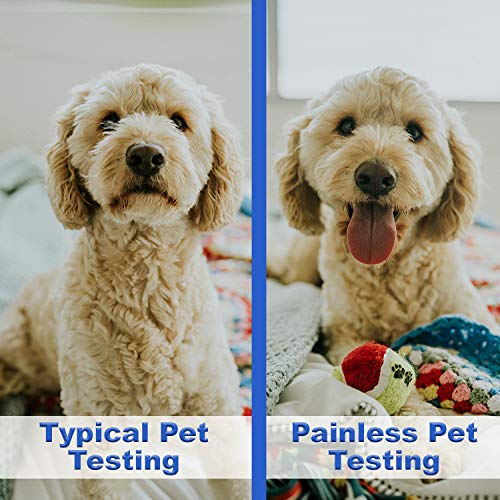 Dispositivo de Lancing Pettest By Gentleel para cães e gatos com diabetes. Sua próxima geração em testes de glicose no sangue diabético indolor