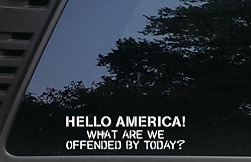 Olá América! O que nos ofendemos hoje? - 8 x 2 1/4 Data de vinil/adesivo de vinil para carros, caminhões, janelas, barcos, caixas