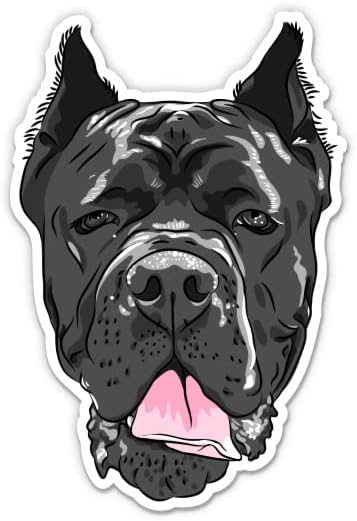 Cane Corso Dog - adesivo de vinil de 8 - para laptop de carro i -pad - decalque à prova d'água