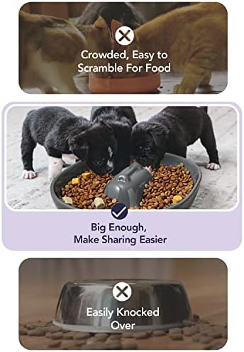 Le Tauci Pet Puppy Bowls Cerâmica, suprimentos de cachorrinho recém -nascidos, 5 xícaras de cachorrinhos para vários