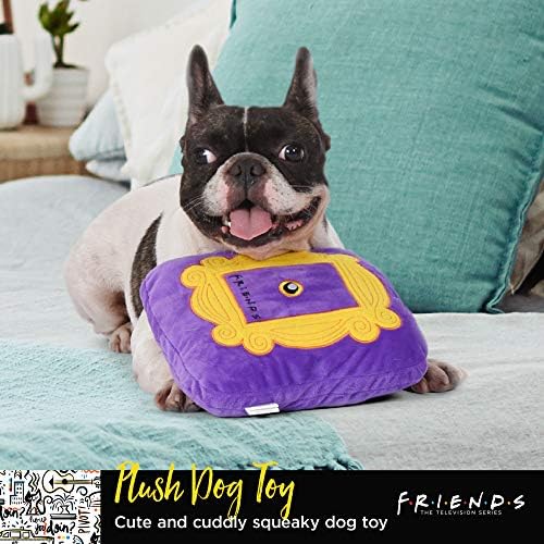 Amigos O programa de TV Friends Dog Toy | Quadro de imagem roxo e ouro de 8 polegadas do programa de TV Friends TV Toy de cachorro de pelúcia | Friends TV Show Merchandise Plush Dog Toy