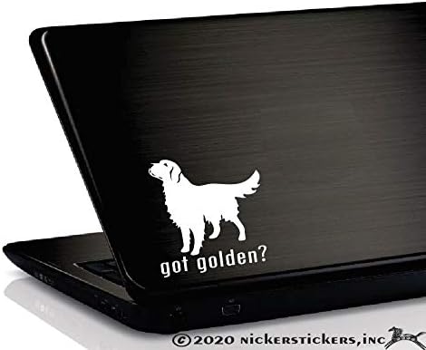 Ficou dourado? ~ Golden Retriever Dog Decalque da janela de vinil
