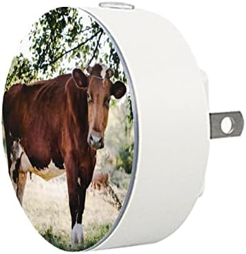 2 Pacote de plug-in Nightlight LED Night Light com Dusk-to-Dawn para o quarto de crianças, creche, cozinha, Callway Farm Field Cattle Cow Tree Tree