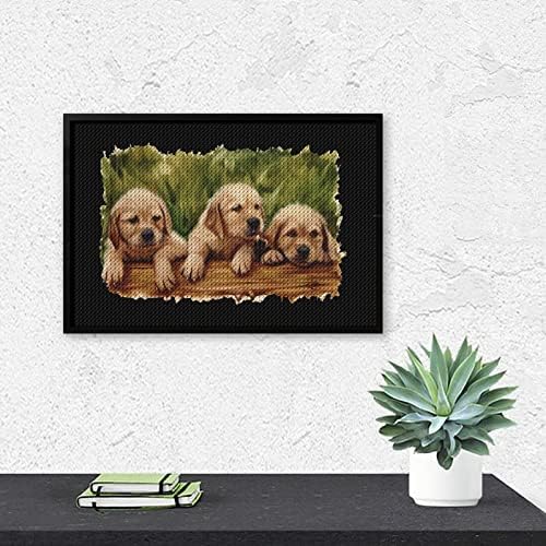 Kits de pintura de diamante Golden Retriever 5D DIY FLILHO FULHO FILIONAL DE RETRAS DE ARTES DE WALL Decor para adultos 8