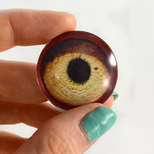 25mm de olho de vidro de aves vermelhas de 25 mm para esculturas de taxidermia ou jóias fazendo artesanato