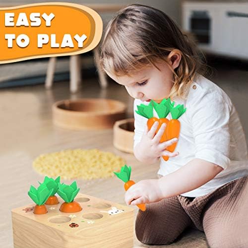 Cheffun Wooden Montessori Toys - jogo de colheita de cenoura, atividades de aprendizado pré -escolar, classificador