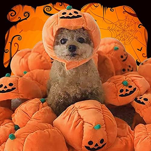 Anac Dog Halloween Hat Hat Kitten Pumpkin Cap Puppy Party Cosplay Truque Costume Pet