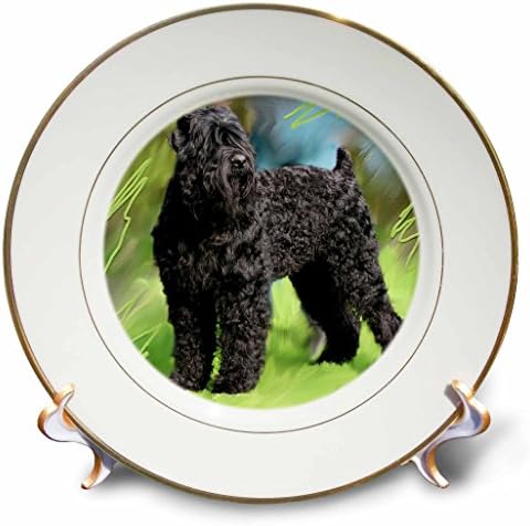 3drose LLC Black Russian Terrier Plate de porcelana de 8 polegadas